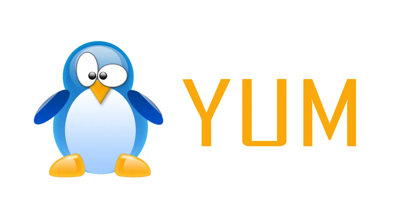 YUM Commands For Package Management MyBlueLinux COM